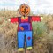 In the Breeze 2485 — Pumpkin Scarecrow Ground Ball Spinner — Autumn Halloween Yard Décor Wind Spinner